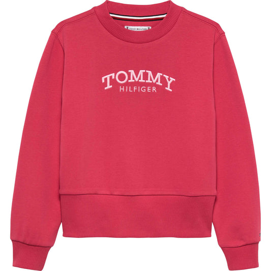 25FMTHKG0KG08989J - Felpe - Tommy Hilfiger