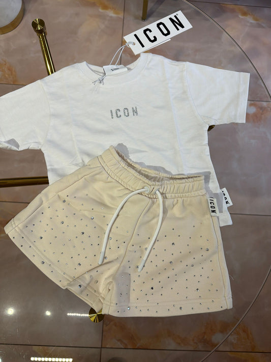 INGFS001235 - set - ICON