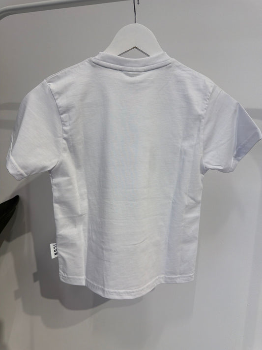 IBKS001129 -  -